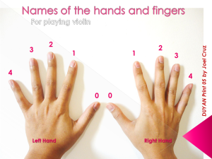 DUYAN Print 05 - Names of the hands and fingers - for violin